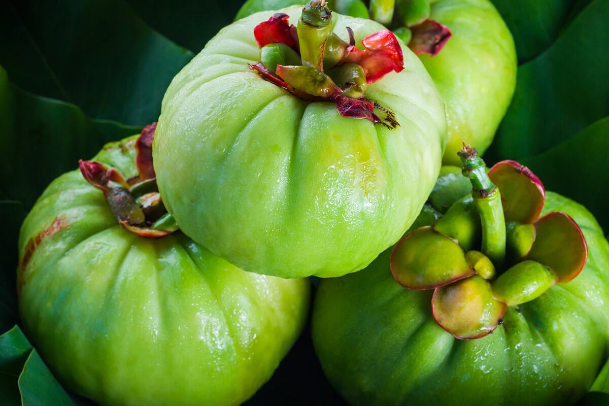 Garcinia Cambogia, la fruta que reduce el colesterol y favorece la quema de grasas. (Freepik)