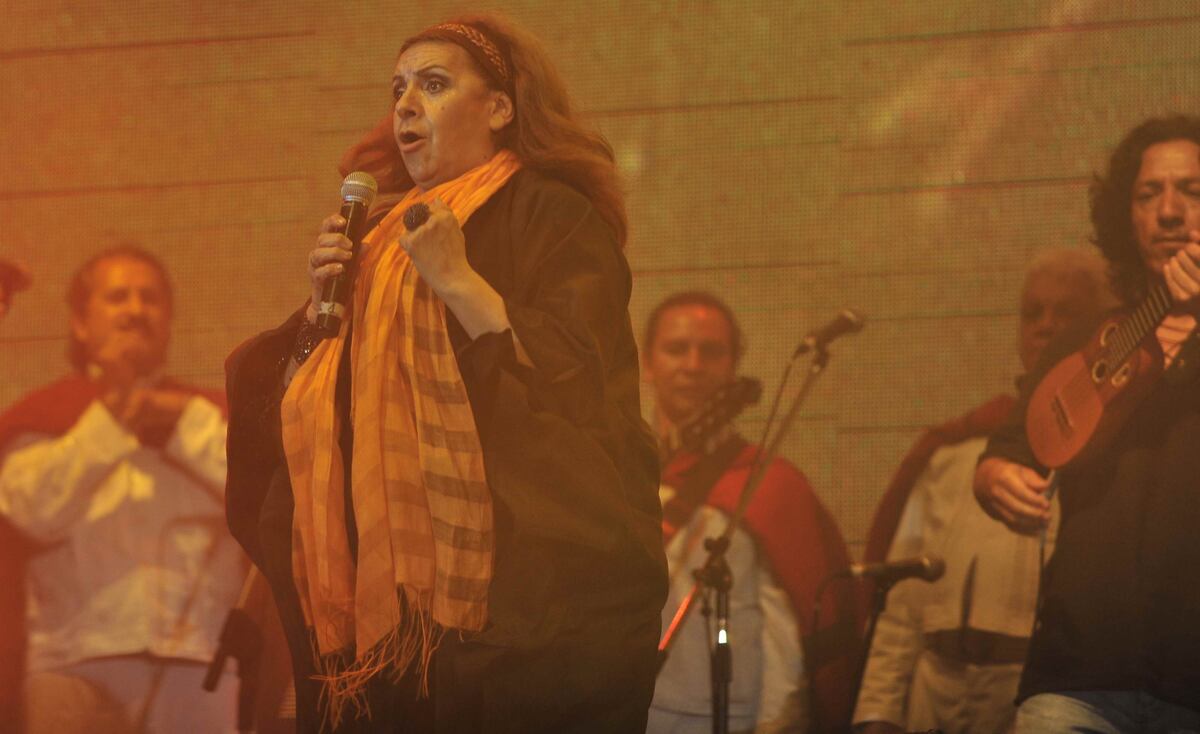 Melania Pérez en Cosquín e2011. En el Festival Nacional de Folklore la salteña tuvo presentaciones memorables (La Voz)