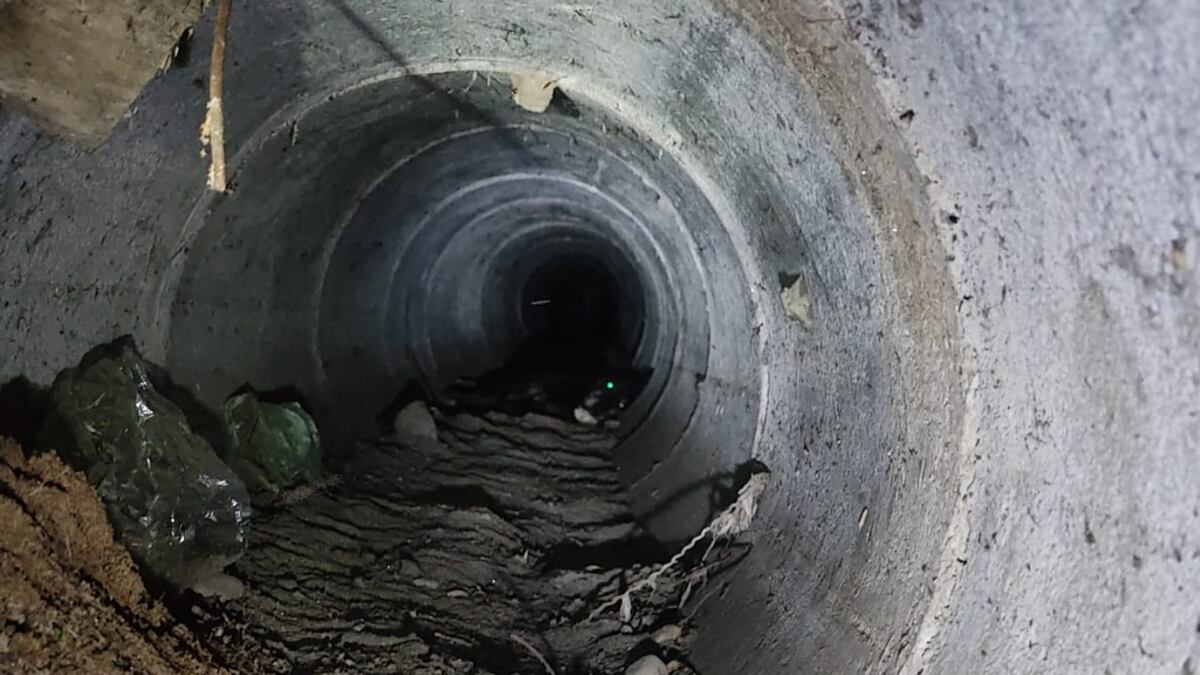 Impactante rescate en Córdoba: bomberos salvaron a un perro atrapado 12 metros dentro de un desagüe.