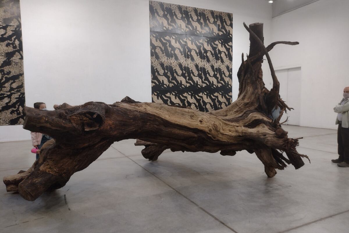 Muestra de "Boyo" Quintana: "Algarrobo" (Foto: Juana Quintana)