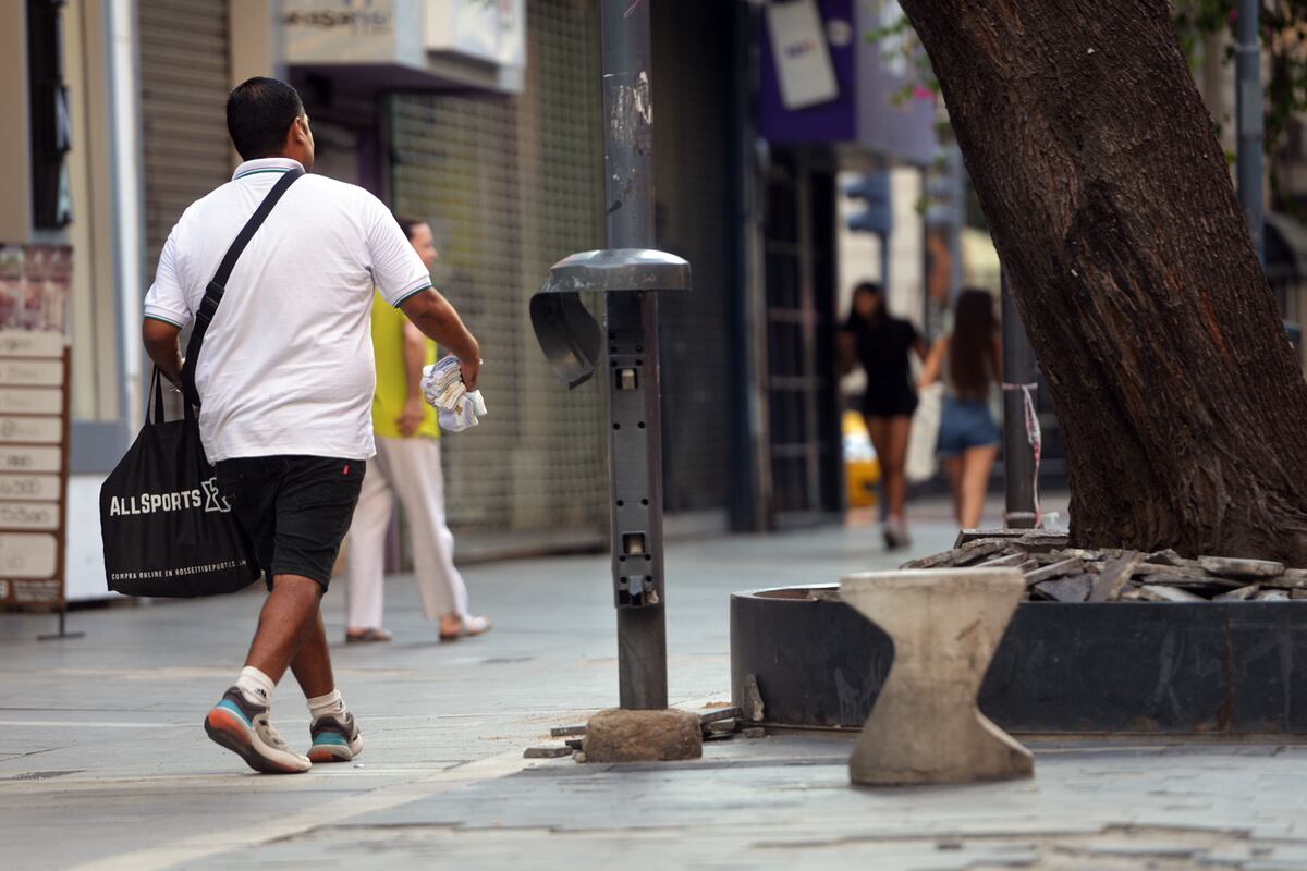 Falta de cestos papeleros en la peatonal.