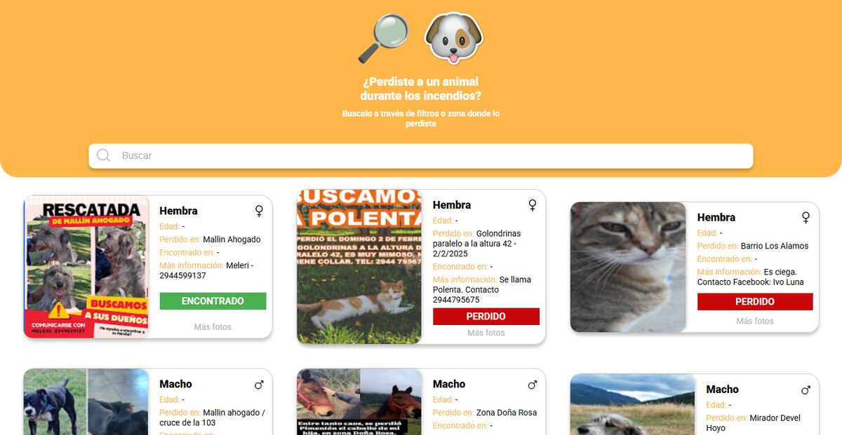 Lanzaron la página web My Pets Patagonia (mypetspatagonia.com), una herramienta gratuita para publicar fotos de mascotas perdidas y facilitar su búsqueda.