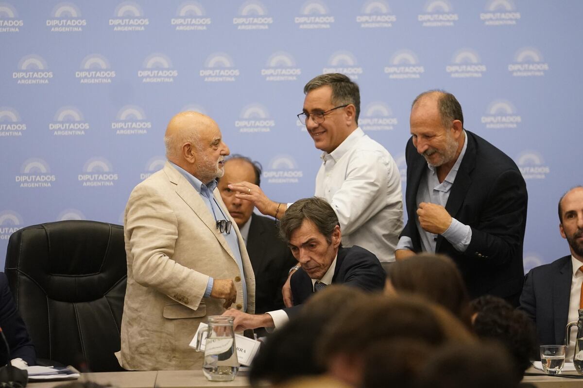 Rodolfo Barra y Chirillo
comisión de Diputados por Ley Omnibus
Foto clarín