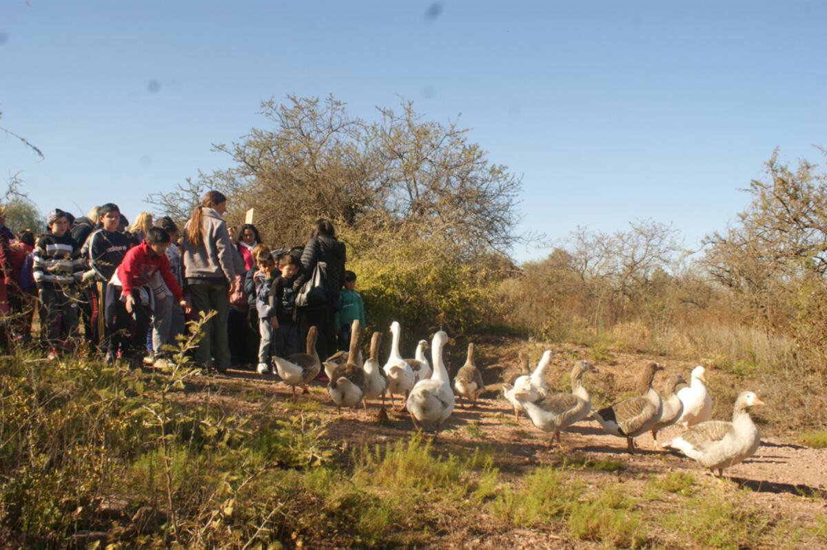Diversión y naturaleza, todo en un mismo lugar.
(Gentileza: Reserva Pumakawa)