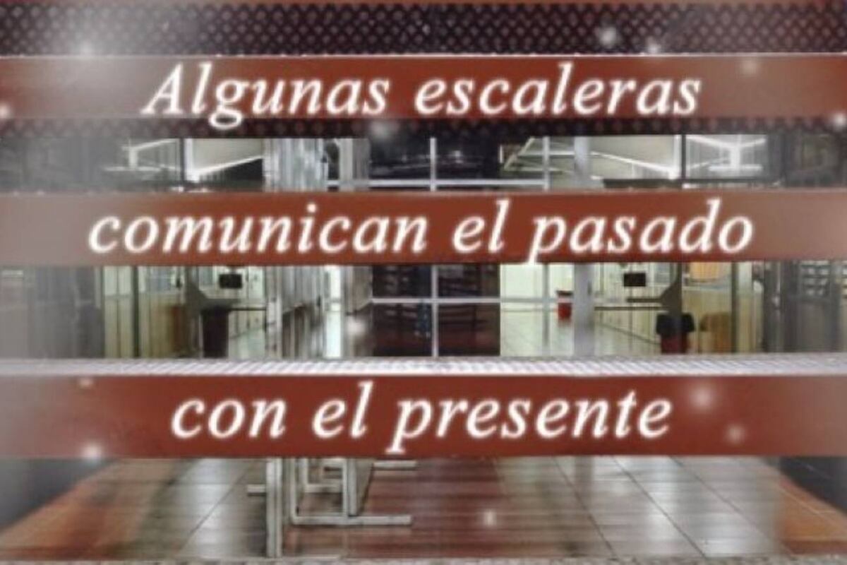 Escaleras de Escape demuestra que es posible enseñar contenidos complejos desde el juego, sin perder profundidad. (Valentina Olivares).