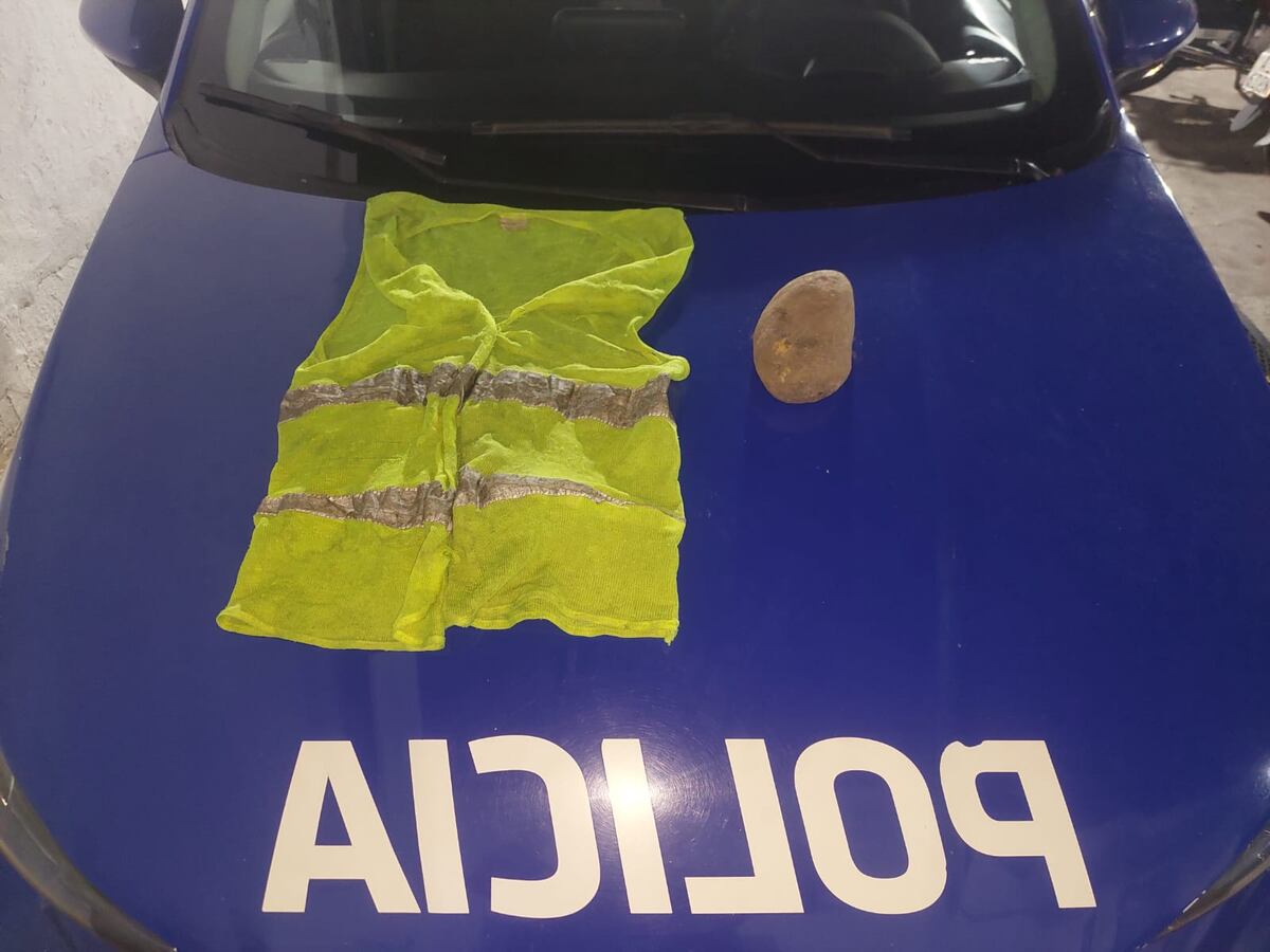 La naranjita quedó detenida tras arrojarle una piedra a un taxi y romperle el parabrisas. (Policía de Córdoba)