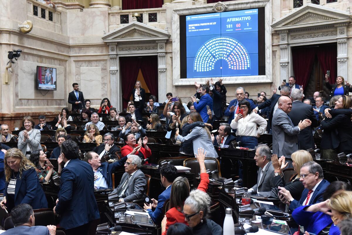 Diputados aprobó la insistencia del proyecto de Emergencia Sanitaria en la Salud Pediátrica y el proyecto de Ley de Financiamiento de la Educación Universitaria. (Corresponsalía)