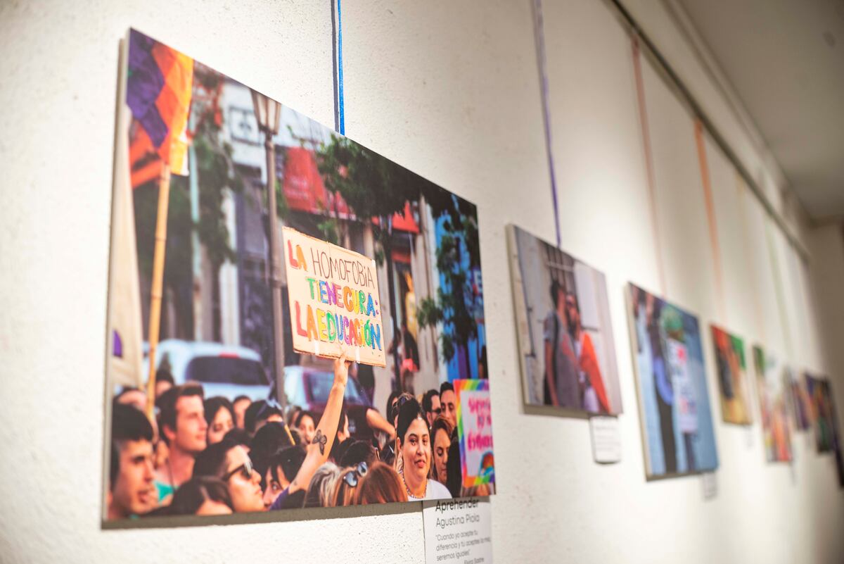 Muestra orgullo. Se puede visitar en Río Cuarto hasta el 6 de septiembre (Gentileza).
