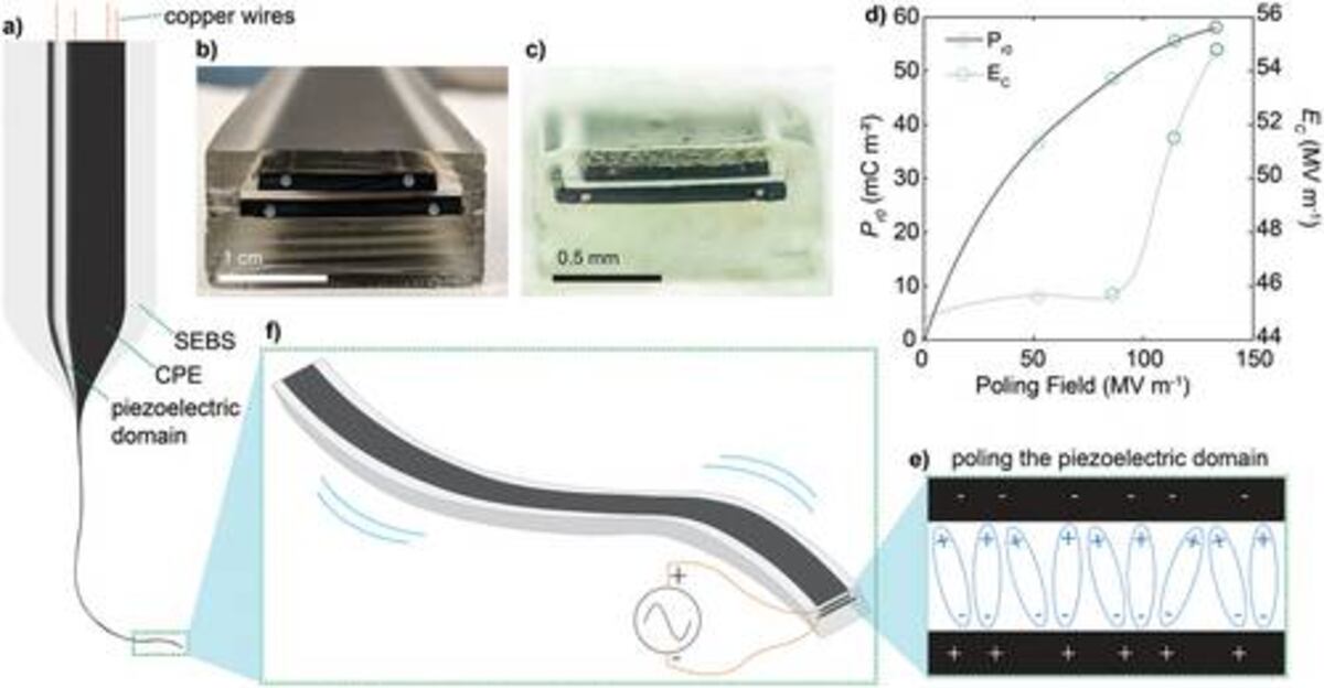 a) Esquema de la preforma que se transforma en fibra. b) La sección transversal de la preforma es ≈2,5 cm × 1,4 cm. c) La sección transversal de la fibra es ≈1,25 mm × 0,7 mm. d) La dependencia de la polarización remanente permanente Pr0 y el campo eléctrico coercitivo EC del campo de polarización eléctrica de CC, e) que se aplica después de estirar la fibra para orientar los dipolos. f) El movimiento mecánico es inducido por un voltaje CA aplicado a la fibra. (MIT)