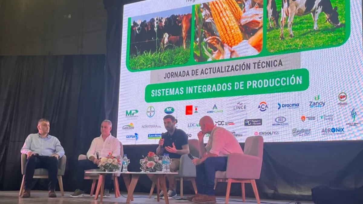 DATOS CREA. Daniel Lovino, integrante de la Mesa de Asesores Crea Región Santa Fe Centro, durante su conferencia en la JAT realizada en Sacanta. (Gentileza Región Córdoba Norte de Crea)