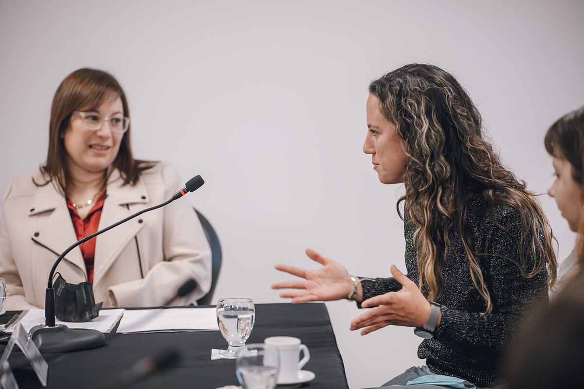Las mesas son una forma de trabajo colaborativo con distintas instituciones.