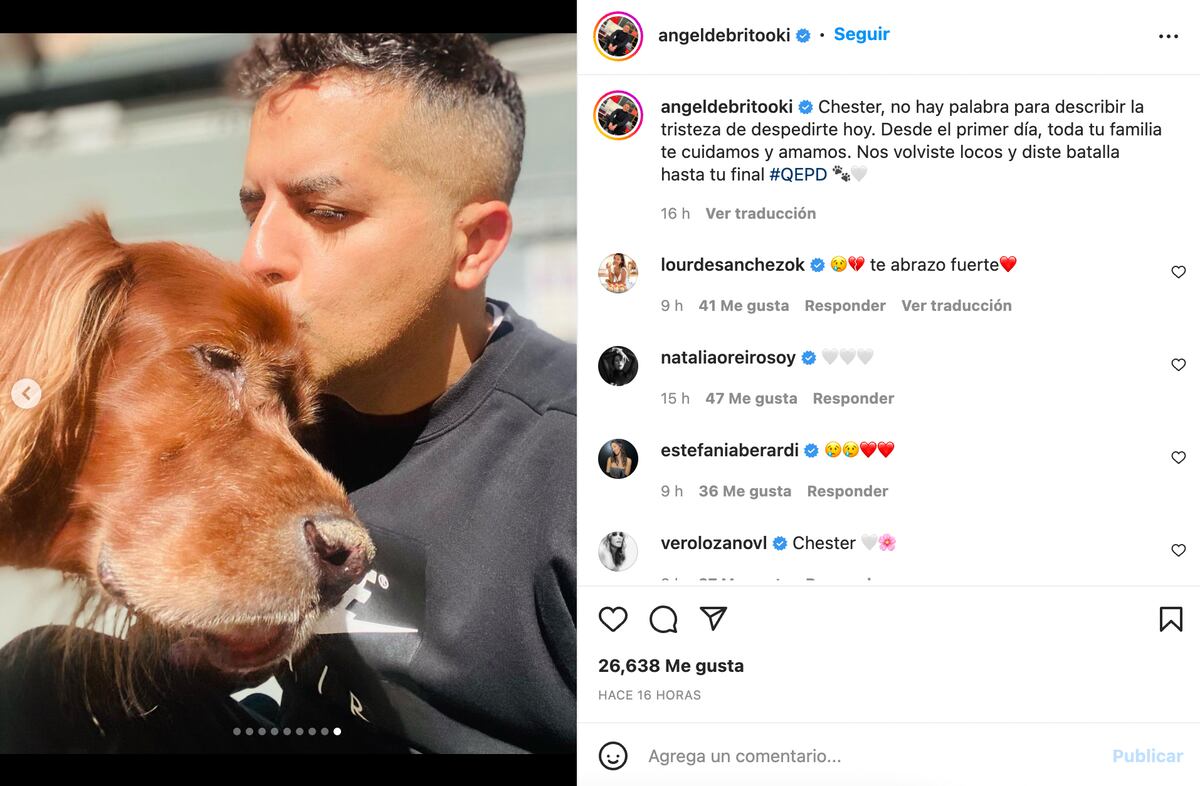 La publicación de Ángel de Brito tras la muerte de su mascota, Chester.