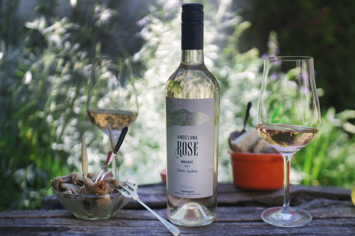 Vinos rosados recomendados para esta primavera (Javier Ferreyra / La Voz).