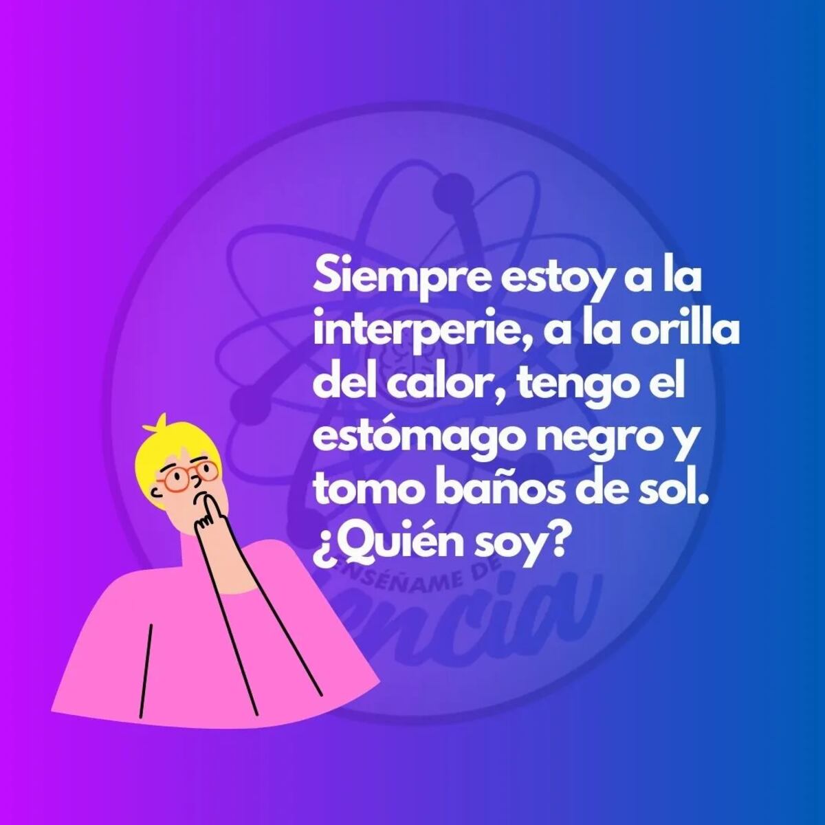 El acertijo visual.