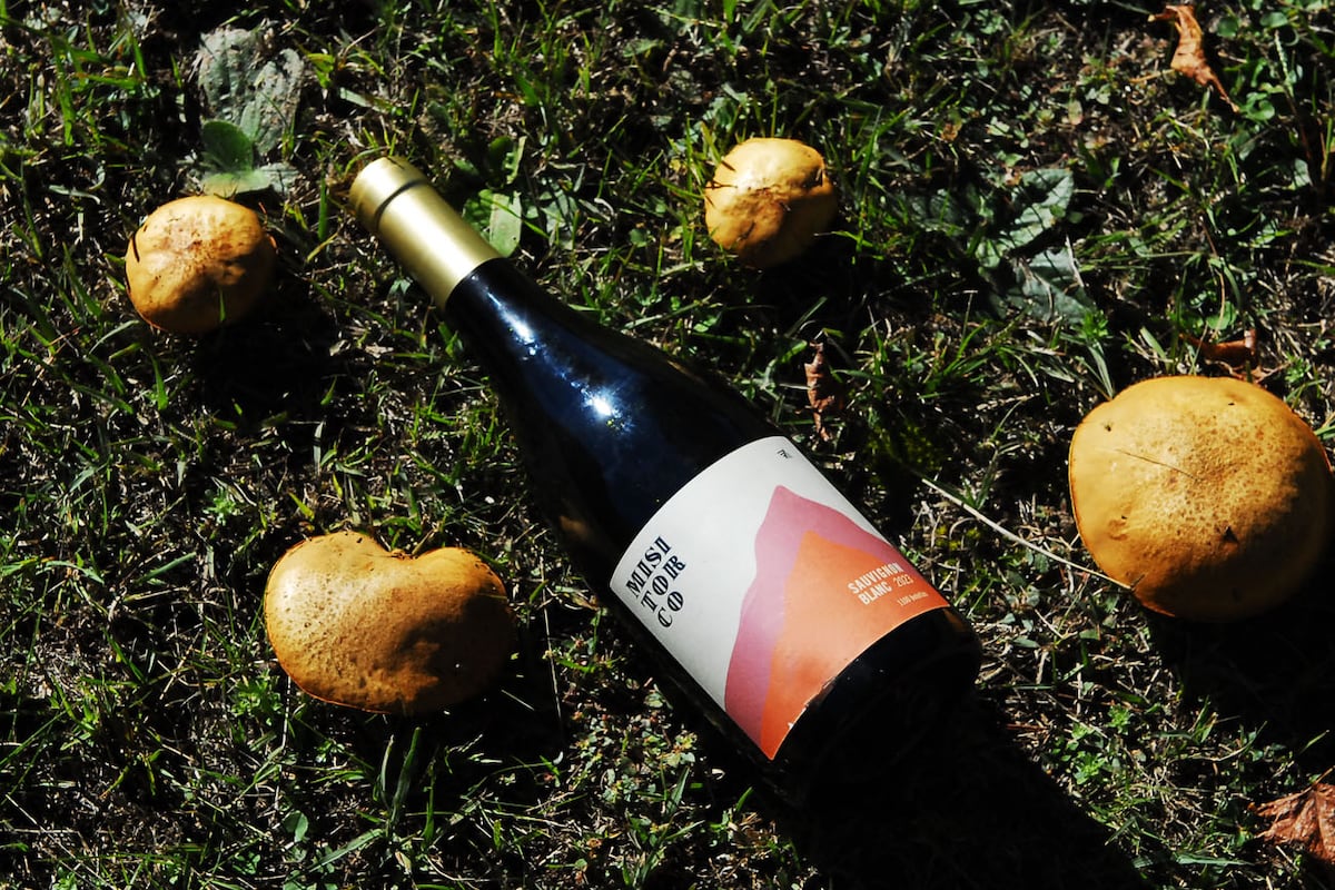 Día del sauvignon blanc, una cepa con historia. (Fotos Javier Ferreyra).