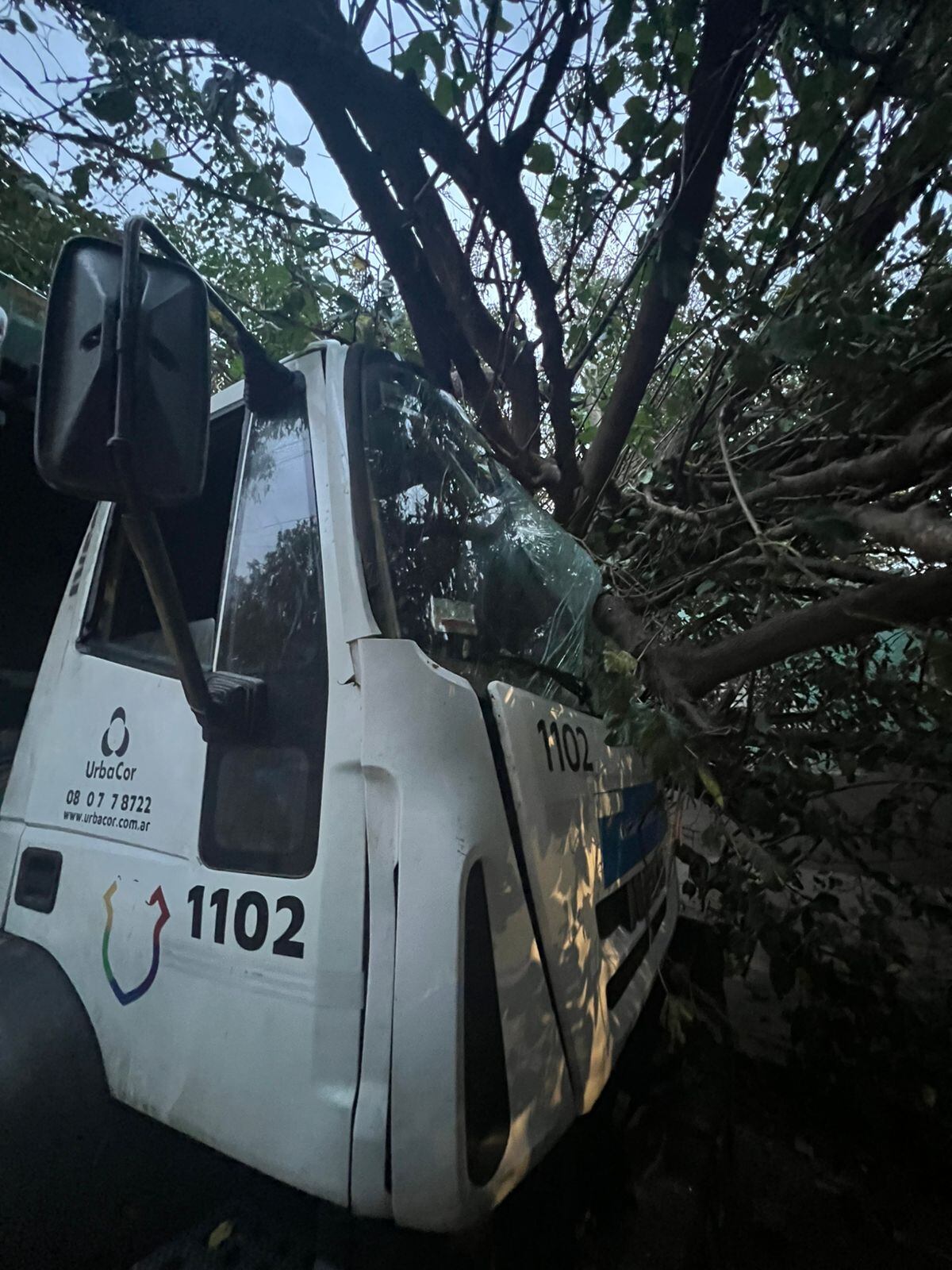 Camión chocó contra un árbol y lo tiró contra una casa en barrio General Mosconi.