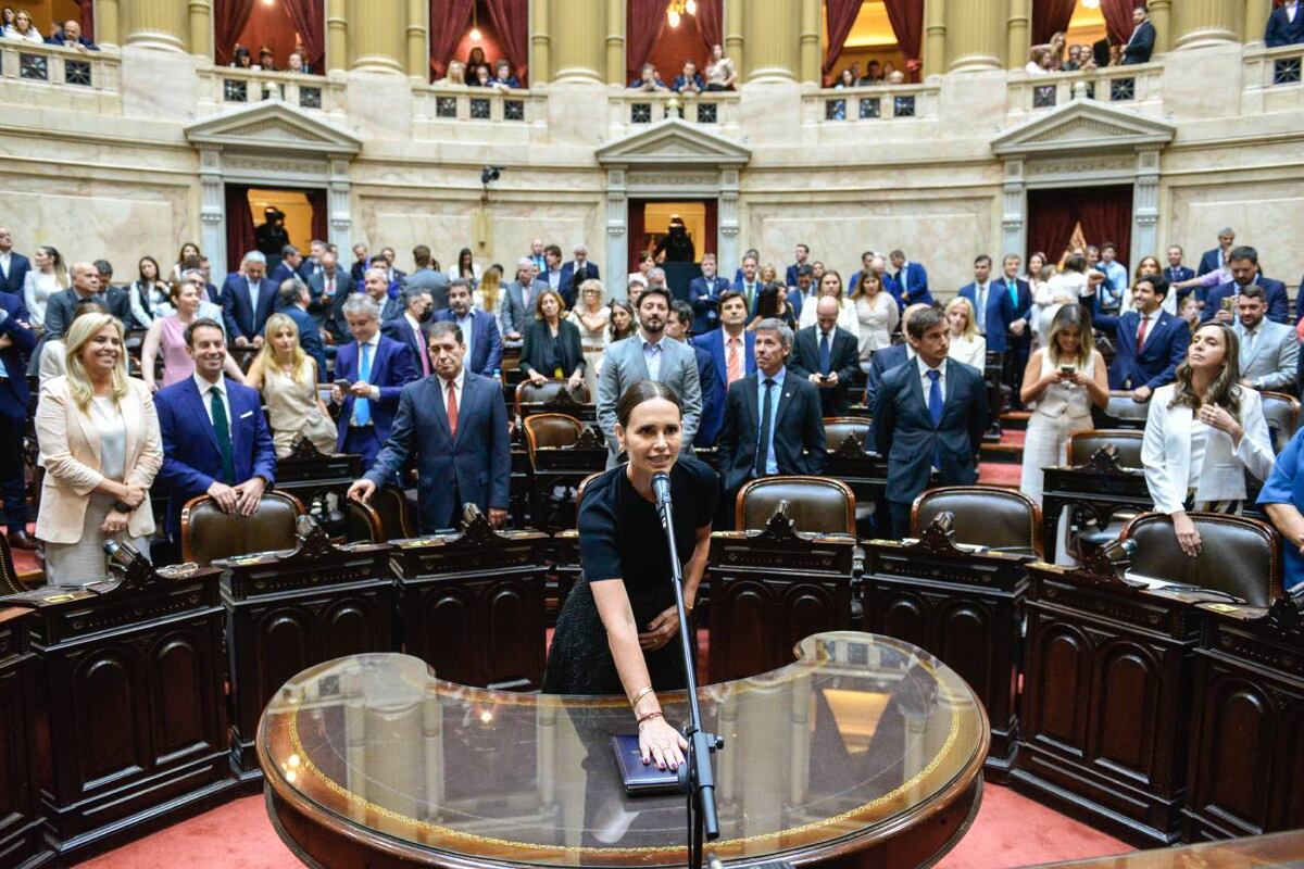Diputados. Así juró Laura Soldano este miércoles 3 de diciembre.