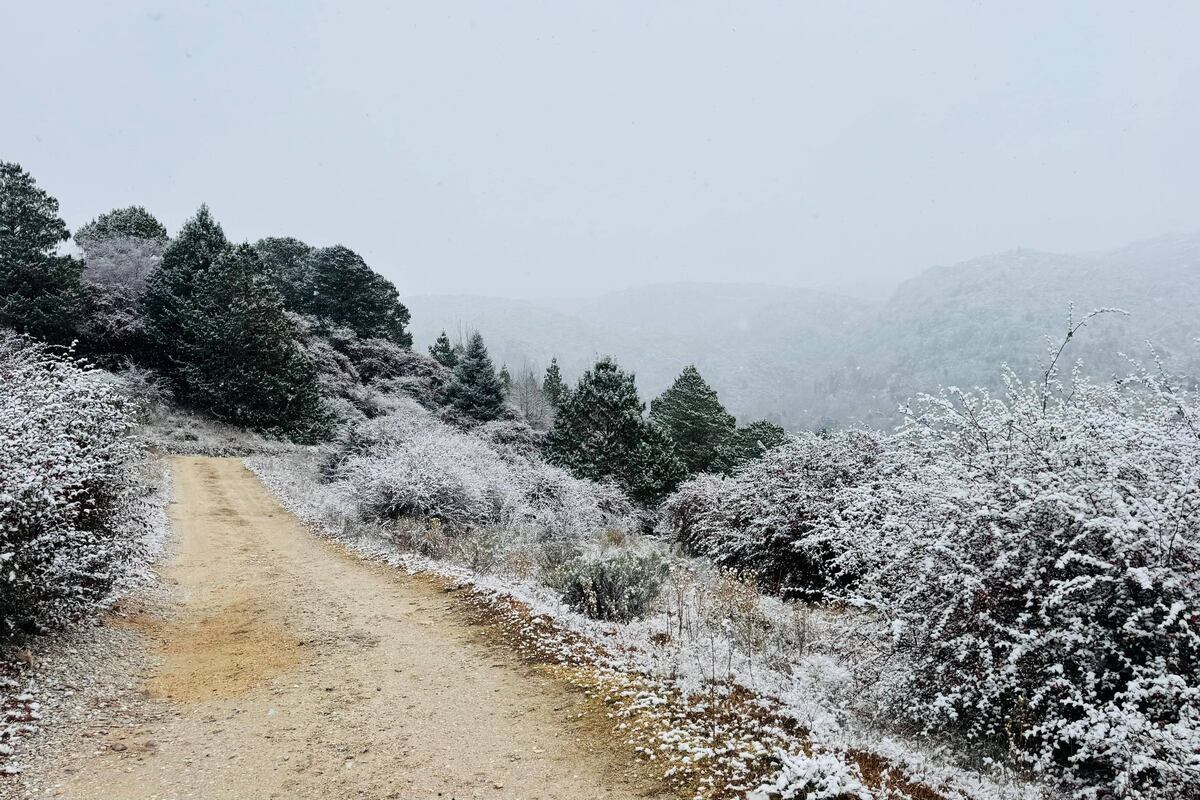 Nieve en Córdoba. La Cumbrecita se vistió de blanco. (La Voz)