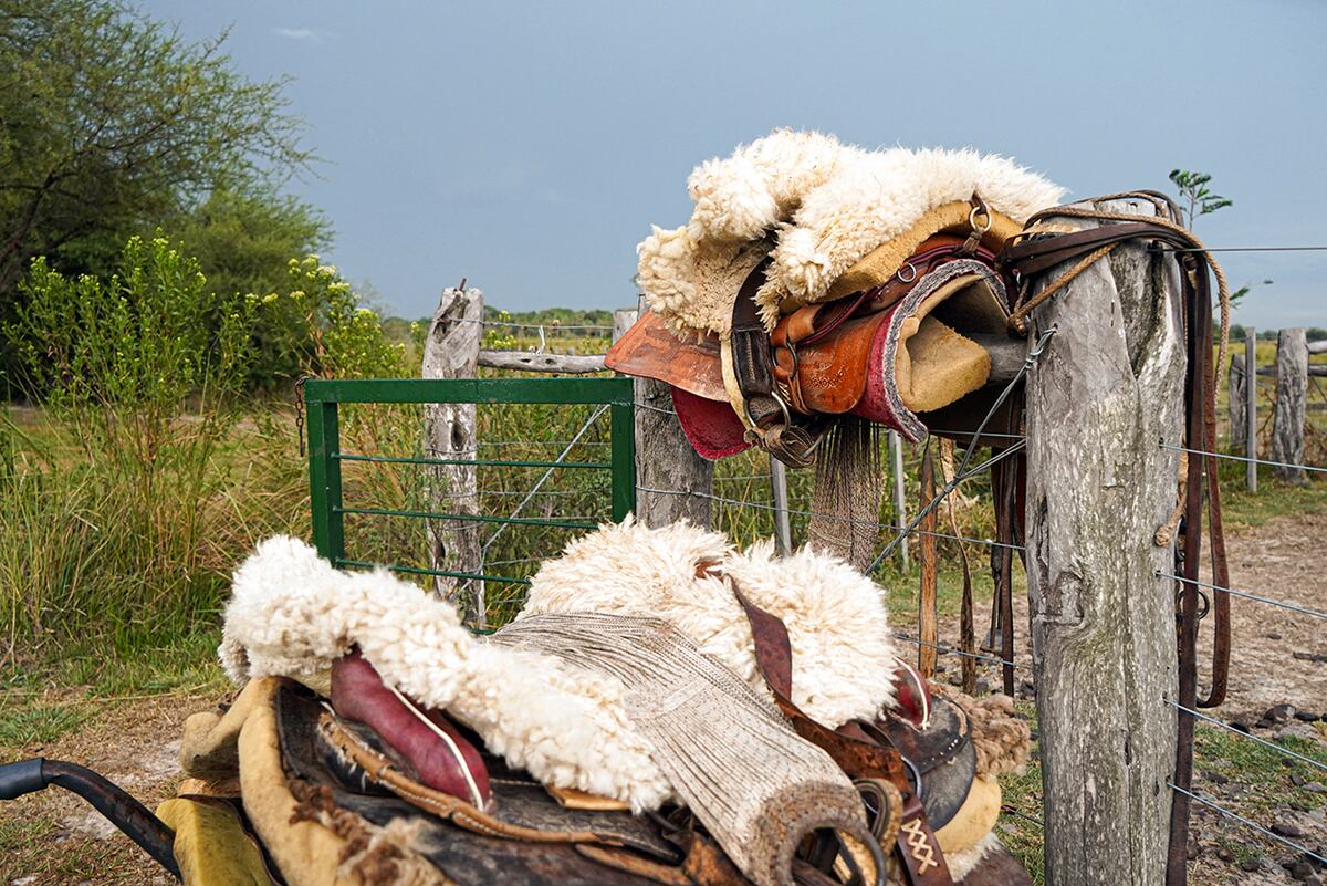 Una visita al portal Laguna Iberá, en los increíbles Esteros del Iberá de Corrientes. (Foto: Daniel Santos)