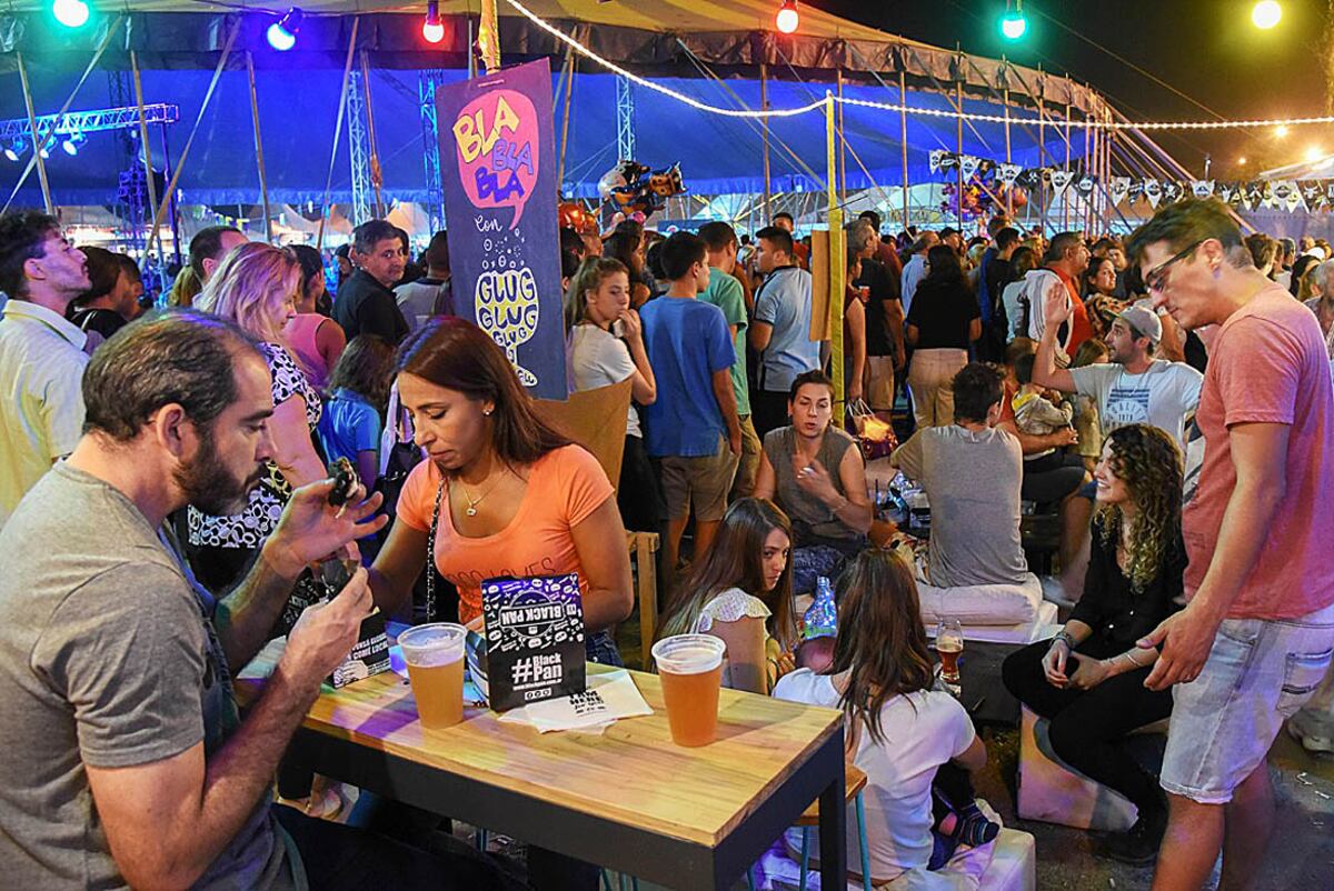 La nueva edición del Festival Peperina congregó a más de 60 mil personas. (Municipalidad de Alta Gracia)