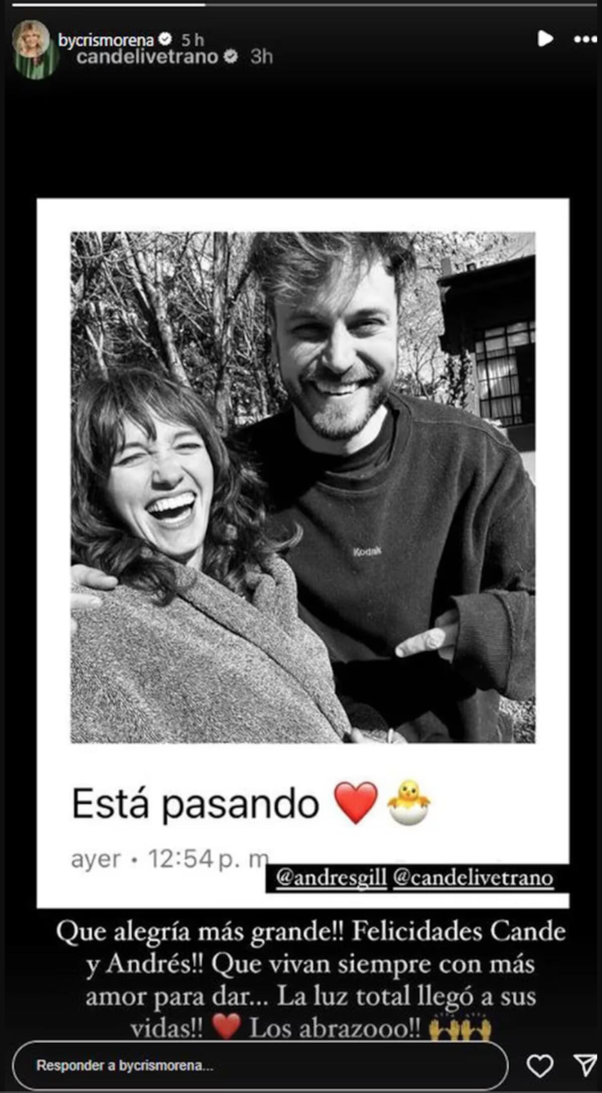 El mensaje de Cris Morena dedicado Cande Vetrano y Andrés Gil por el embarazo de la actriz. (Foto: captura de pantalla)