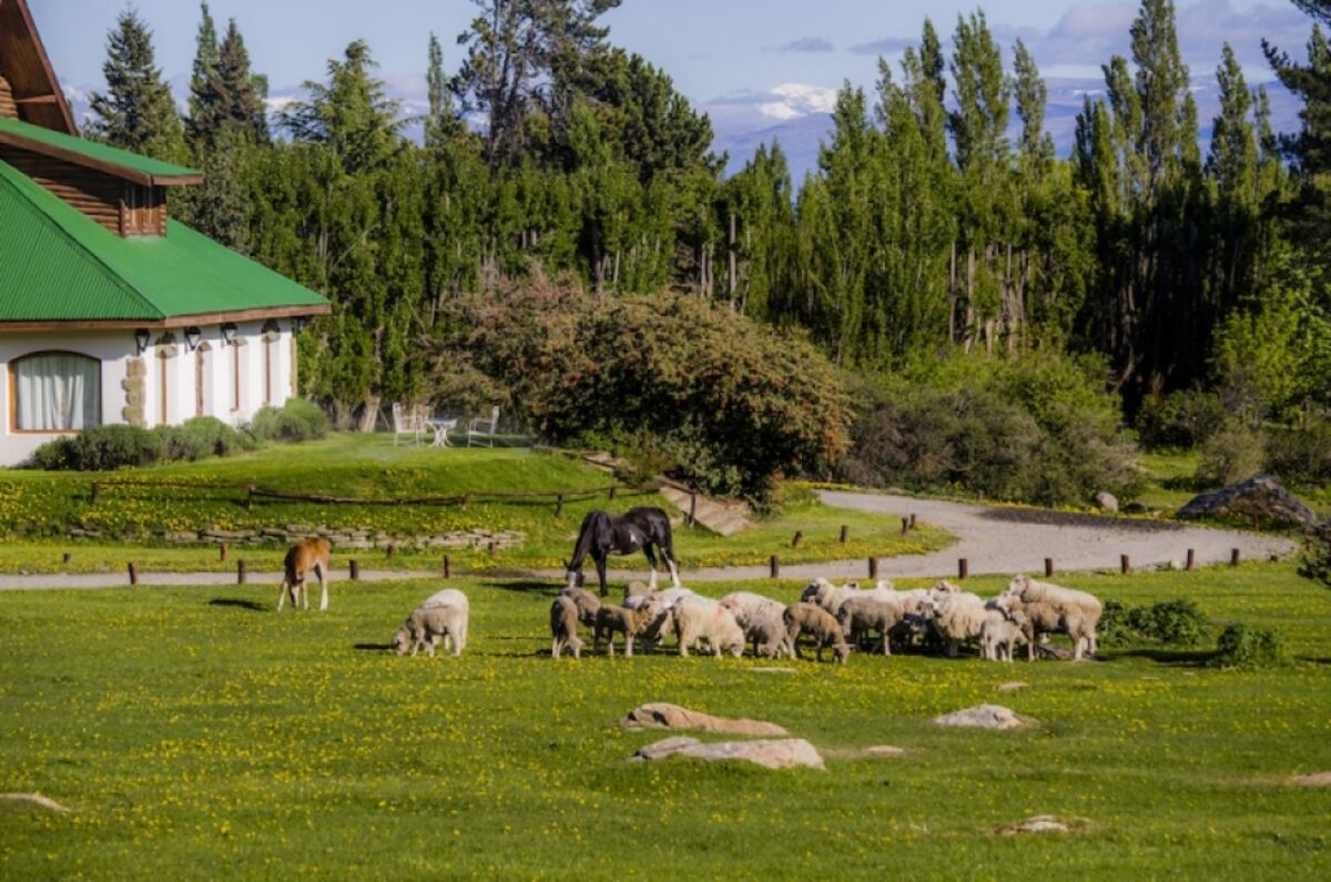 Actividades para realizar en El Calafate. (Foto: Patagonia Chic)