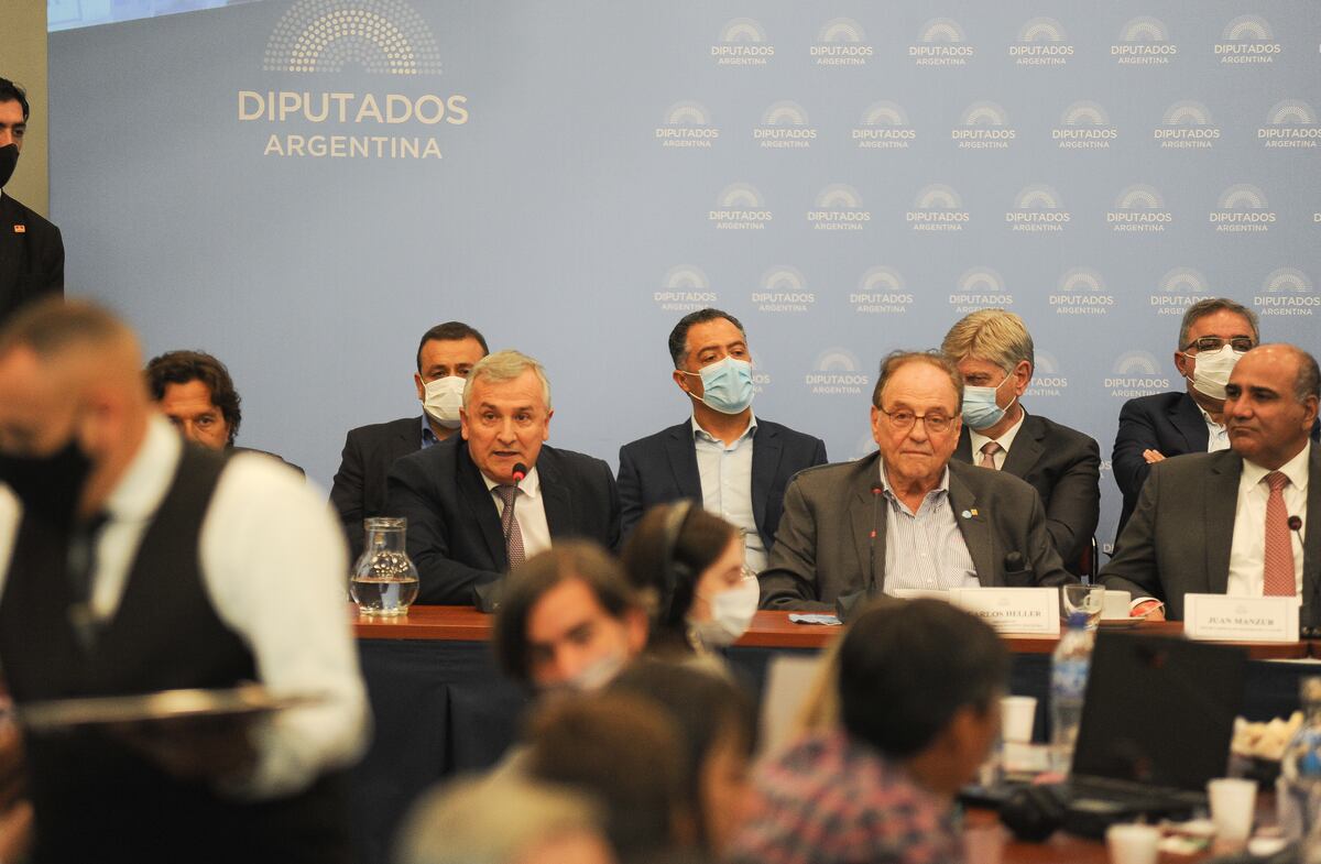 En comisiones, la mayoría de los gobernadores, entre ellos el jujeño Morales (UCR), pidió evitar el default. (Federico López Claro)