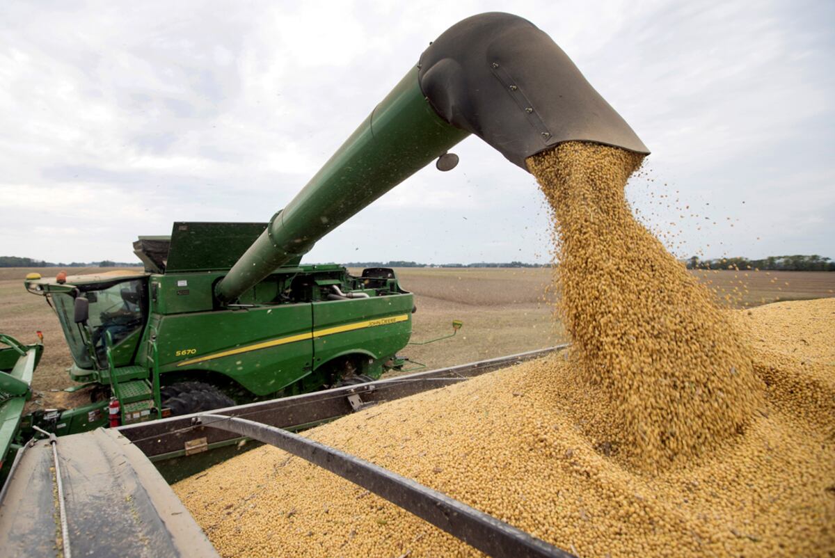 La lógica indica que los productores van a vender lo mínimo y vital para pagar compromisos a cosecha o deudas contraídas. (La Voz)