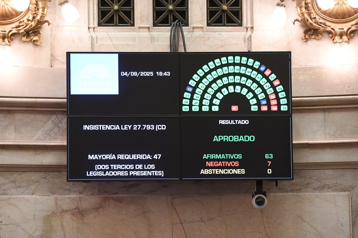 El Senado volteó el veto de Milei y sostuvo la Emergencia en Discapacidad. (Gentileza)