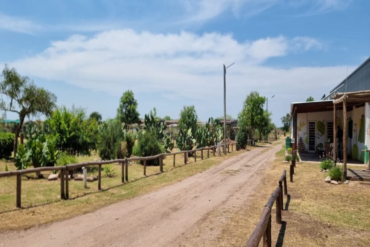 Abierto todo el año y cercano a Córdoba, ideal para hacer un paseo de cercanía y conectar con la naturaleza. (Foto: gentileza Municipalidad de Estación Juárez Celman )