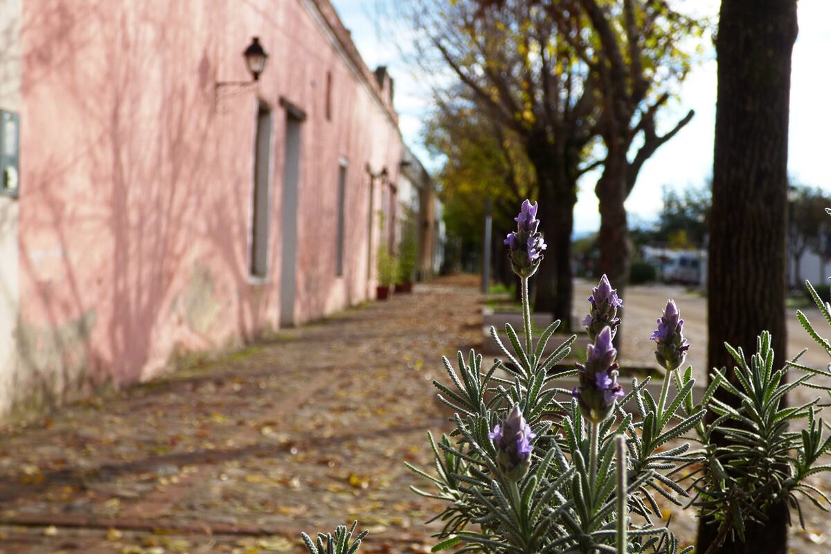El encanto de Los Reartes reside en cada detalle que lo decora. (Gentileza: Agencia Córdoba Turismo)