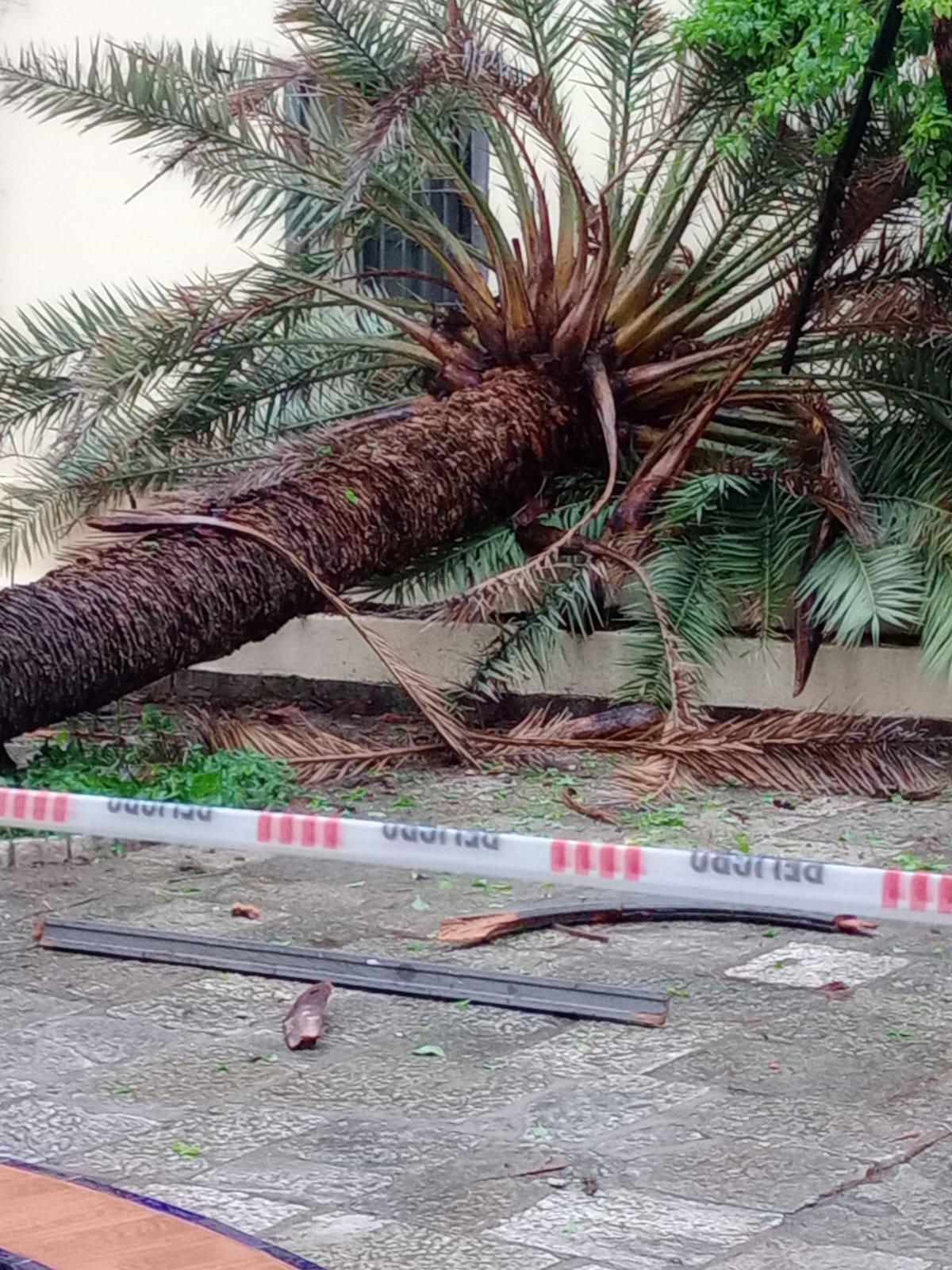 La lluvia provocó destrozos en el Colegio Nacional de Monserrat de Córdoba. (Gentileza)