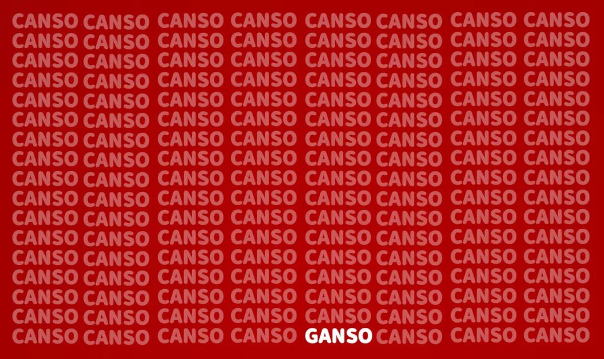 La respuesta del acertijo.
