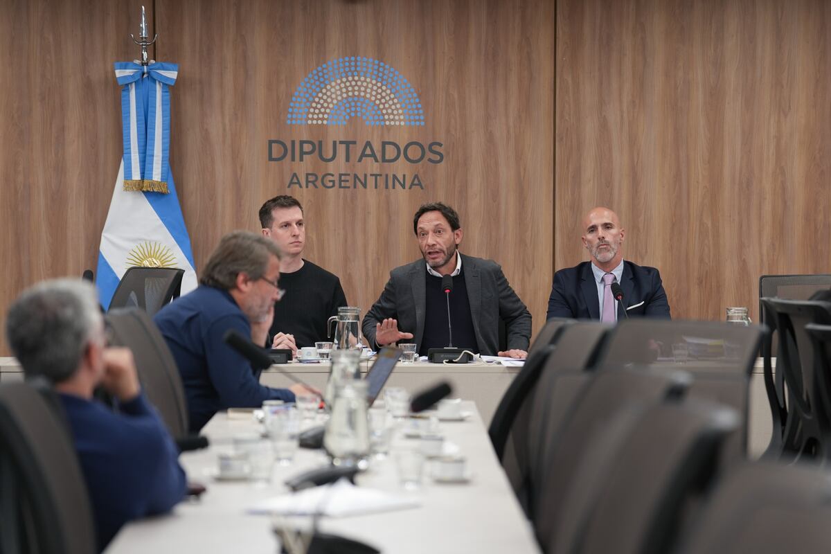 La comisión investigadora del caso $LIBRA volvió a reunirse (Foto: HCDN)