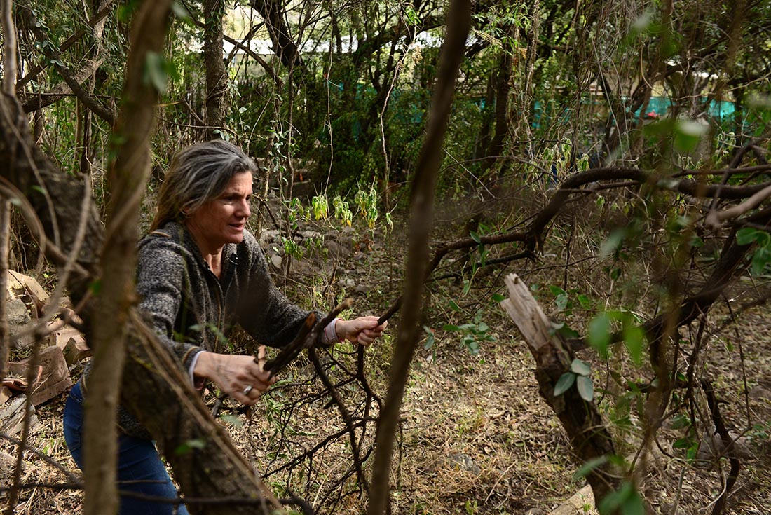 Cortar leña para calefaccionar el hogar, una práctica en aumento en Sierras Chicas
