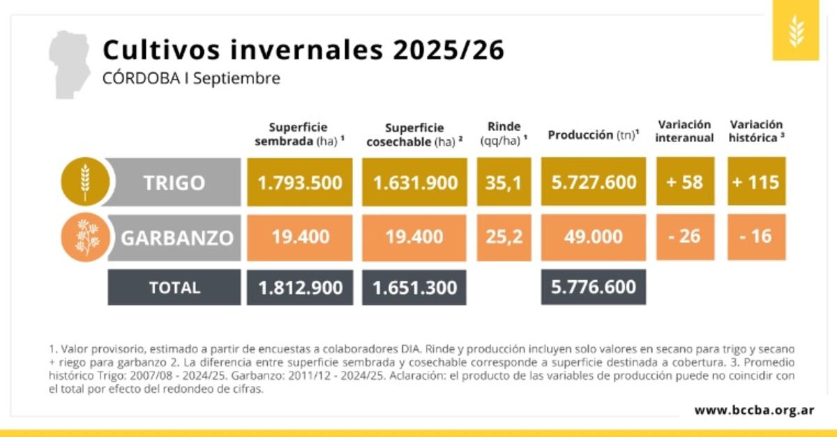 Gentileza BCCBA