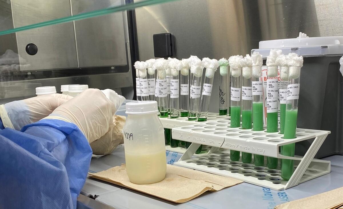 Donación de leche materna en Córdoba (La Voz)