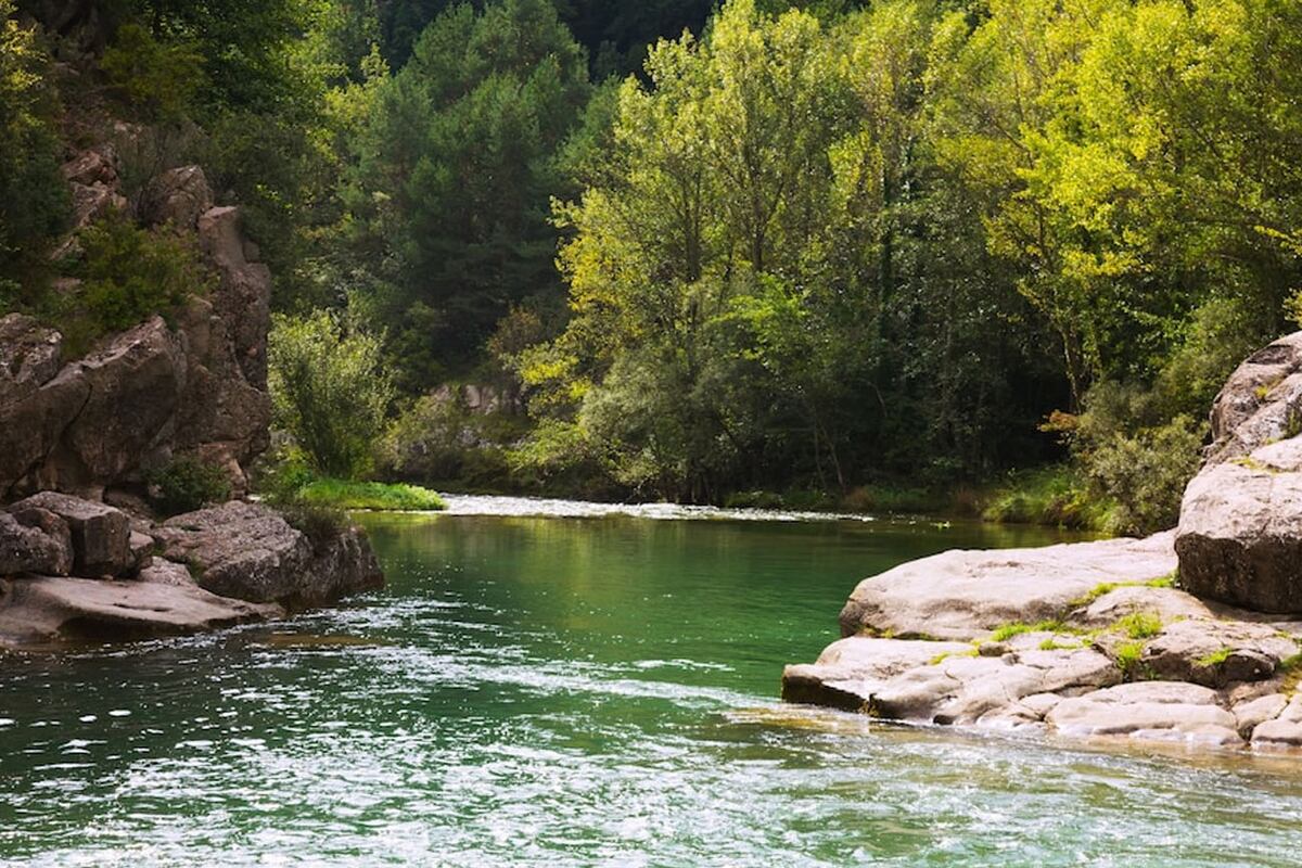 Este año, el tema disparador es "Ver lo invisible: el valor del agua". Foto: Freepik / Aguas Cordobesas