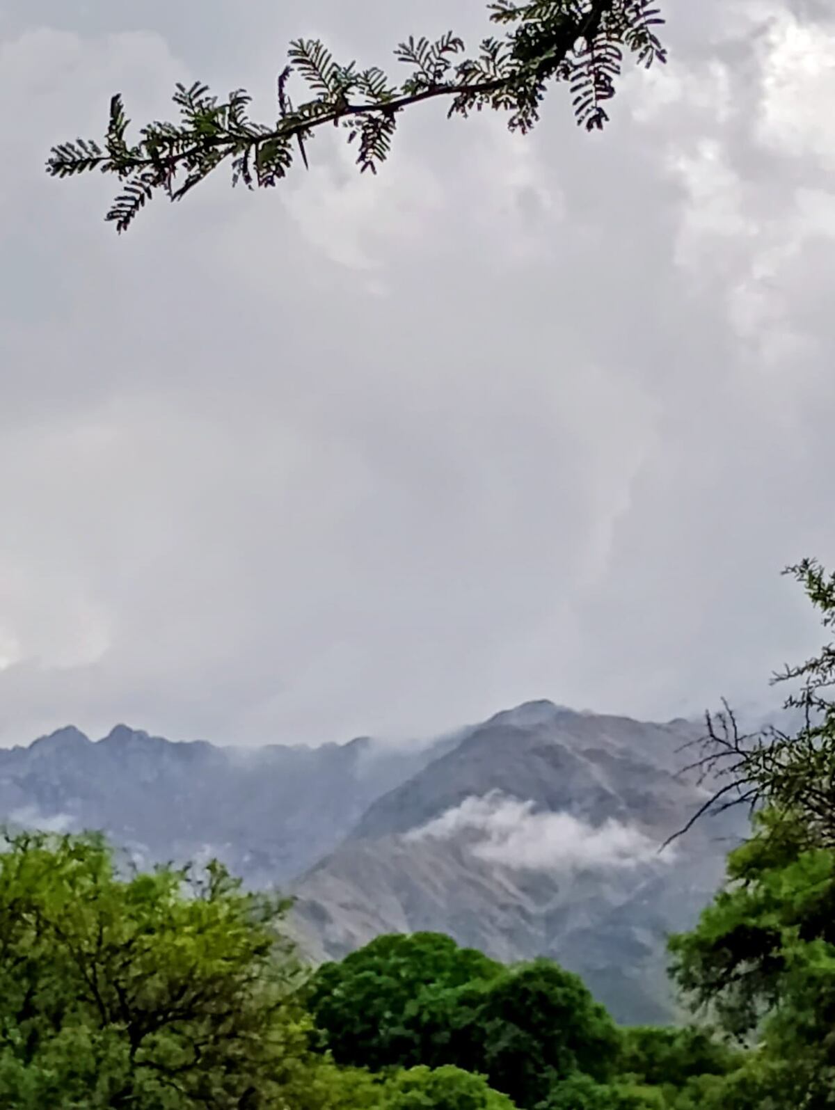 El cerro Champaquí, visto desde el paraje Los Molles, en Villa de las Rosas. Desde allí sale un sendero que lo asciende (La Voz)