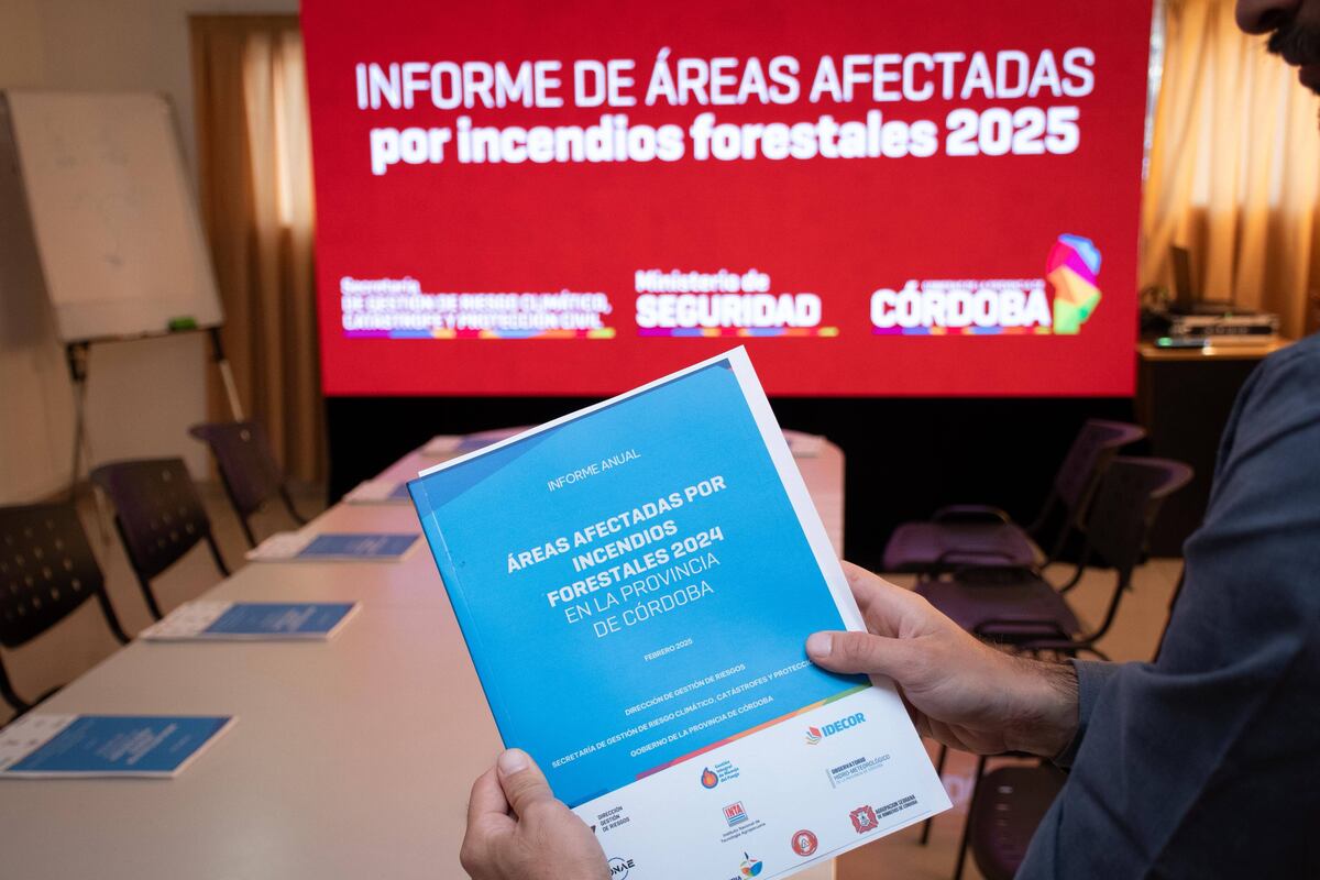 Córdoba crea una mesa interdisciplinar: el fuego consumió 84 mil hectáreas menos que el 2024