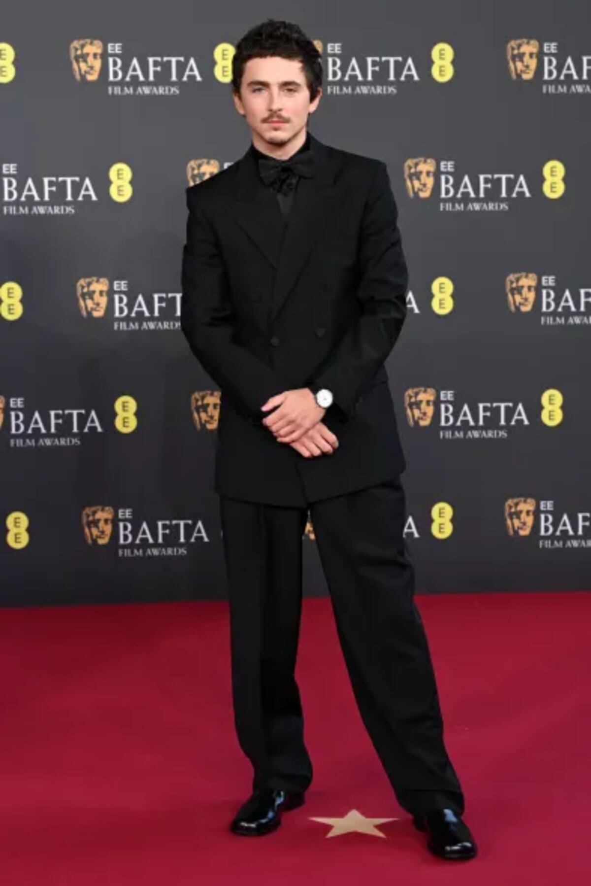 Tmothée Chalamet (Foto: Shutterstock)
