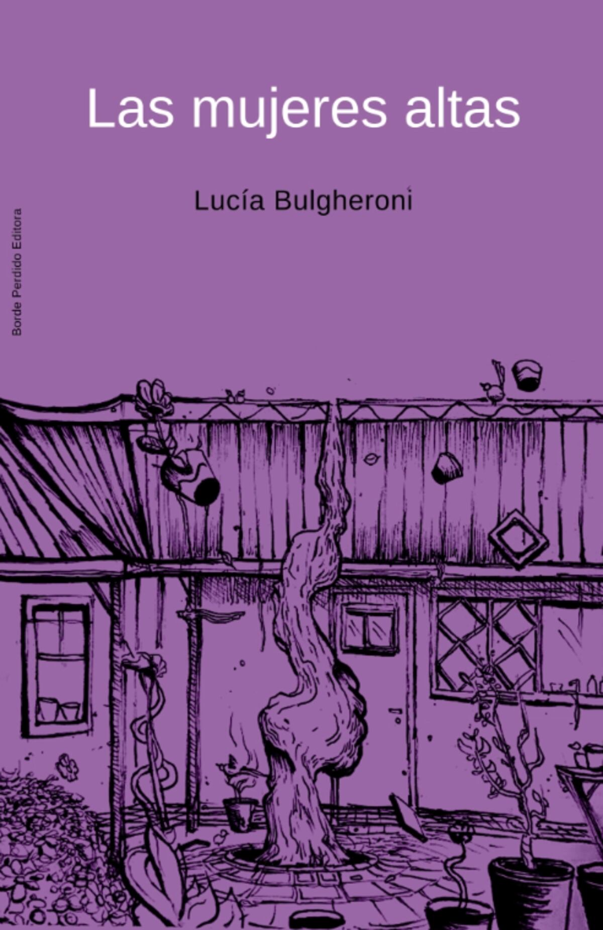 Las mujeres altas. De Lucía Bulgheroni. Editorial Borde perdido.