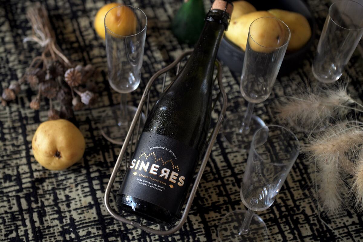 Vinos distintos para brindar en el Día del amigo (Javier Ferreyra / La Voz)