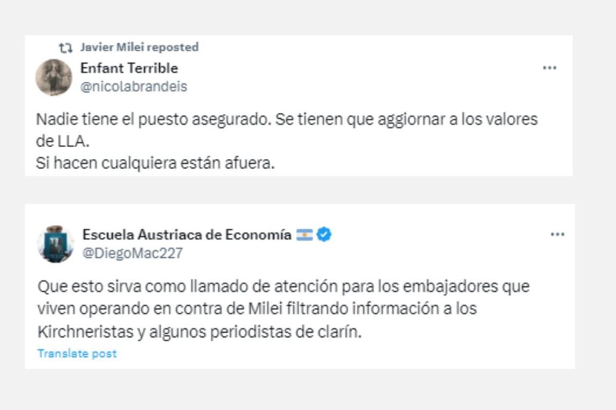 La reacción del presidente Javier Milei tras el desplazamiento de Mondino. (X / @JMilei)