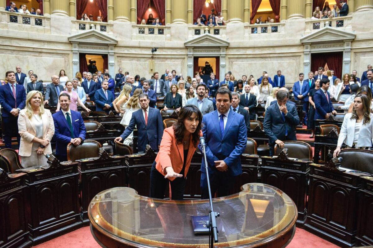 Diputados. Así juró Natalia De La Sota este miércoles 3 de diciembre.