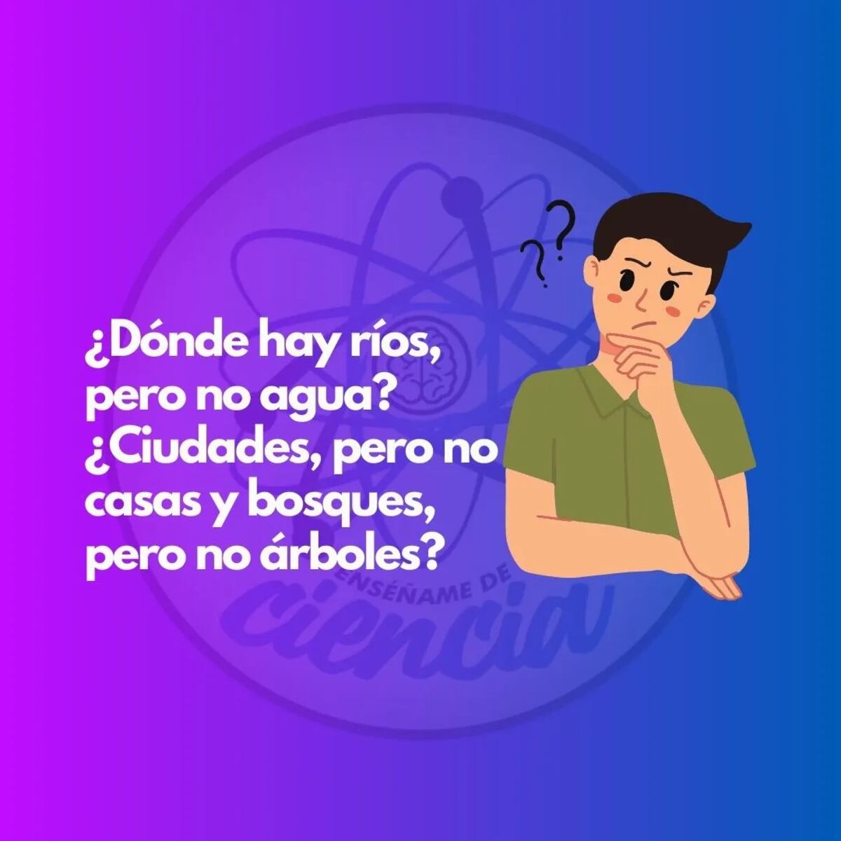 El acertijo visual.
