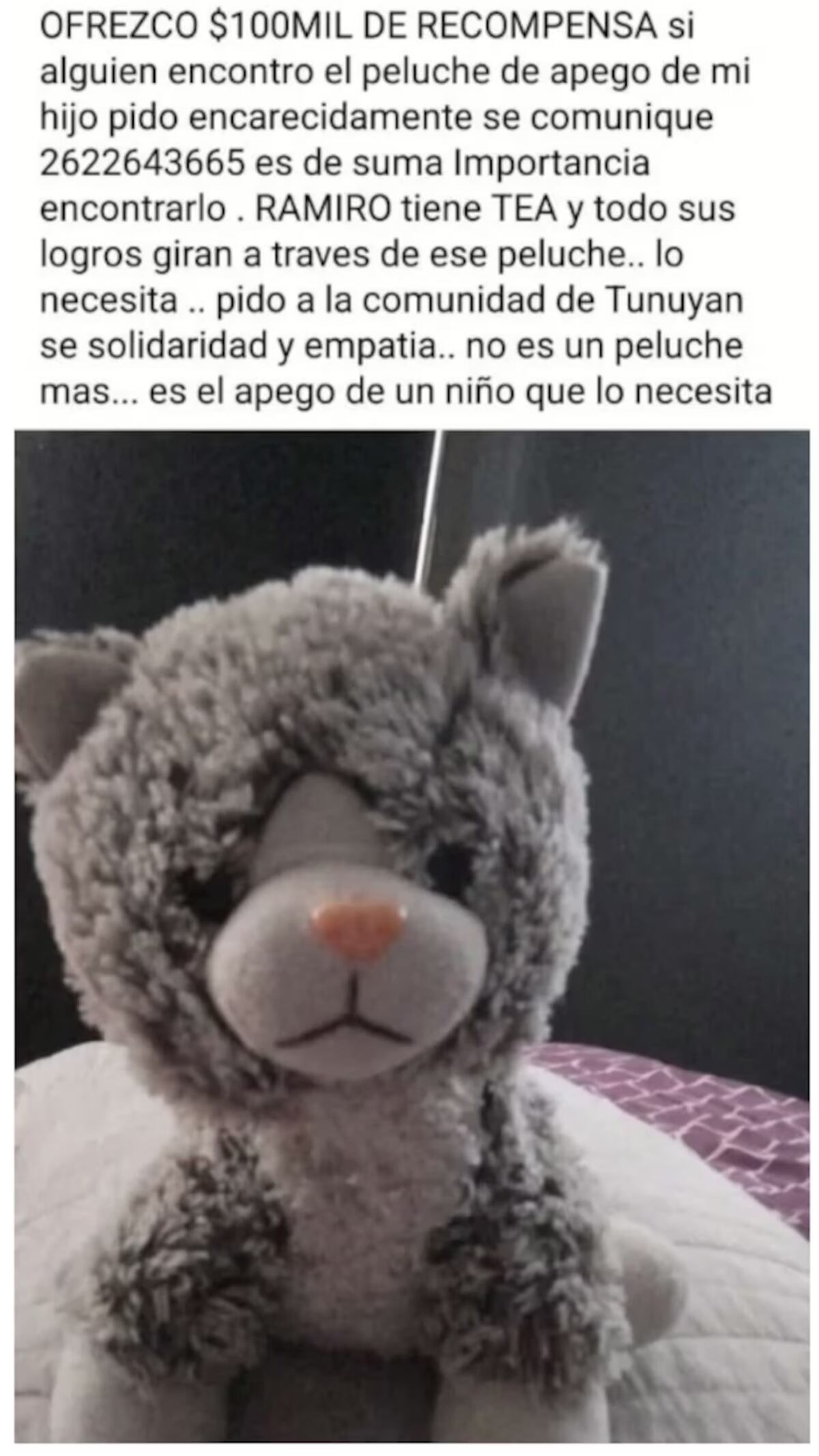 La publicación que difundió la familia originalmente. (Facebook).