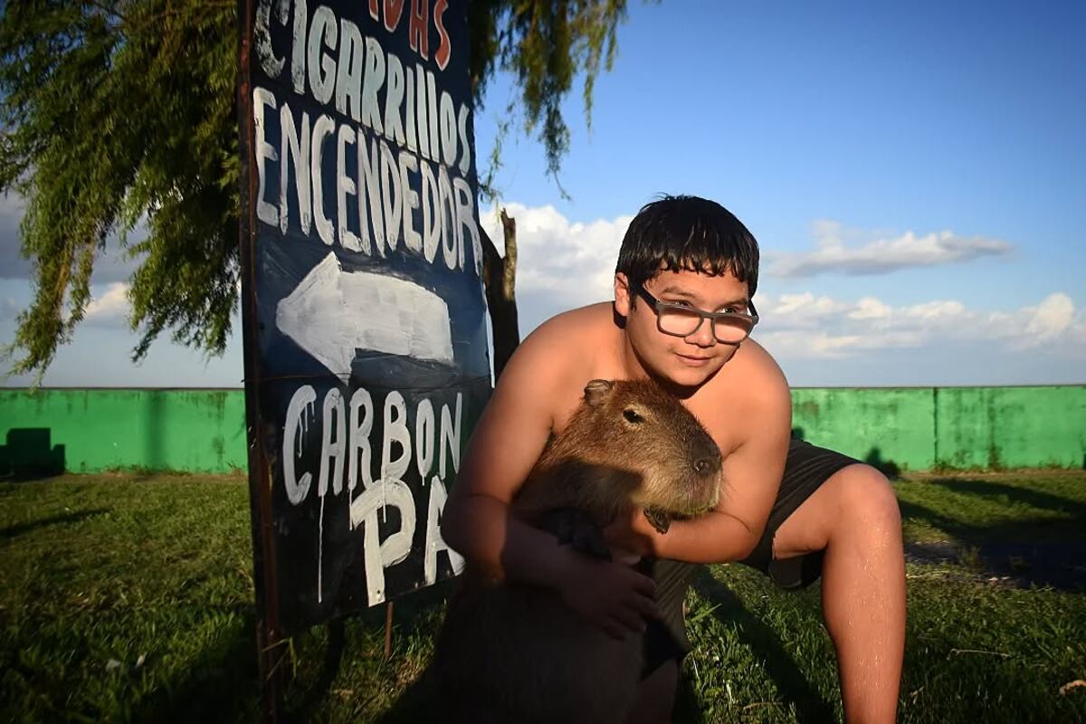 “Poroto”, el carpincho que entra a los patios de Punta Lara y conquista corazones en redes