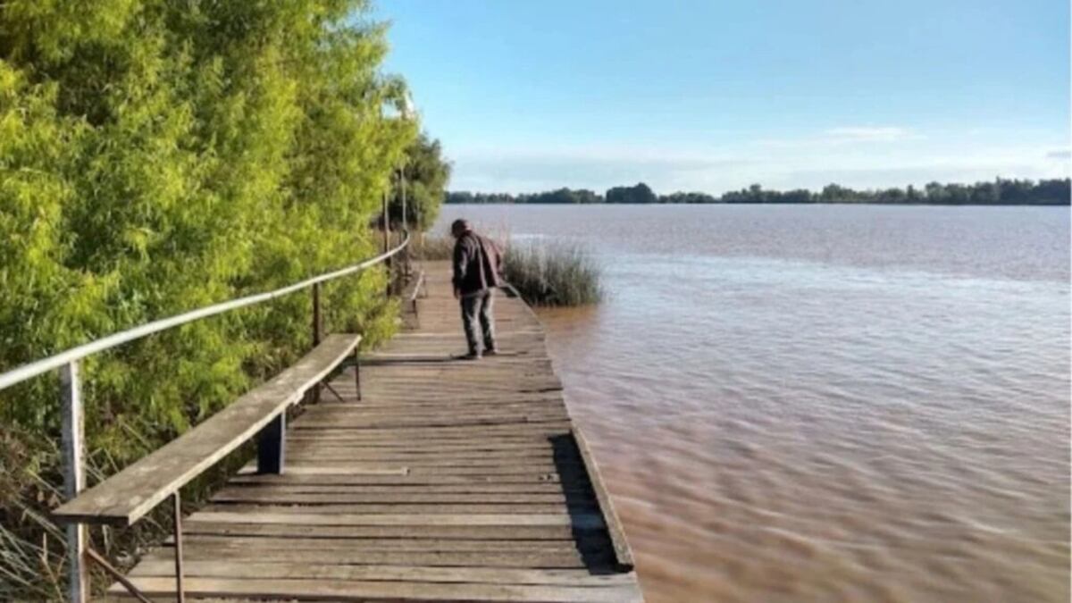 Escapada a 100 km de CABA: Lima, el pueblo bonaerense con playa sobre el Paraná, historia y las mejores parrillas