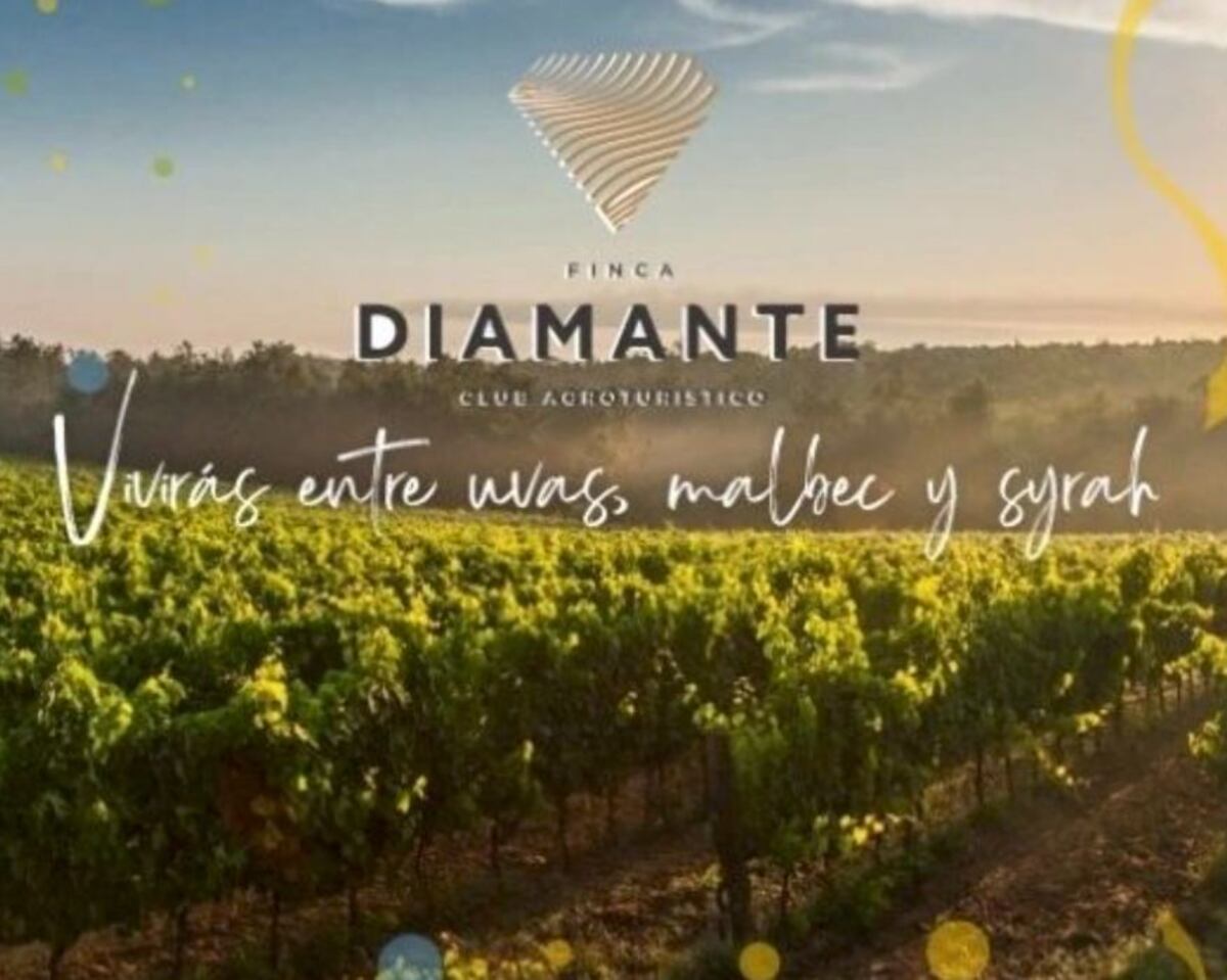 Finca Diamante, la megaestafa que habría montado una banda de empresarios. (Instagram Finca Diamante)